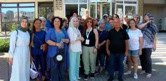 Eyüpsultan'da Kedilere Asit Saldırısı: Hayvanseverler Protesto Etti