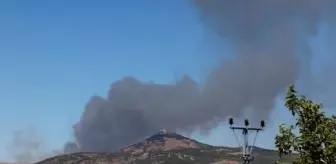 Gaziantep'te Orman Yangını Çıktı