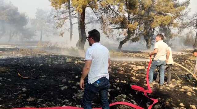 Gaziantep'te Orman Yangınına Havadan ve Karadan Müdahale