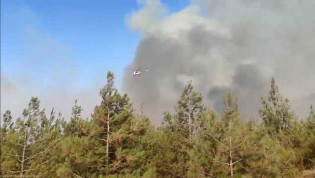 Gaziantep'te Orman Yangınına Havadan ve Karadan Müdahale