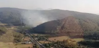 İzmir Selçuk'ta Orman Yangını Çıktı