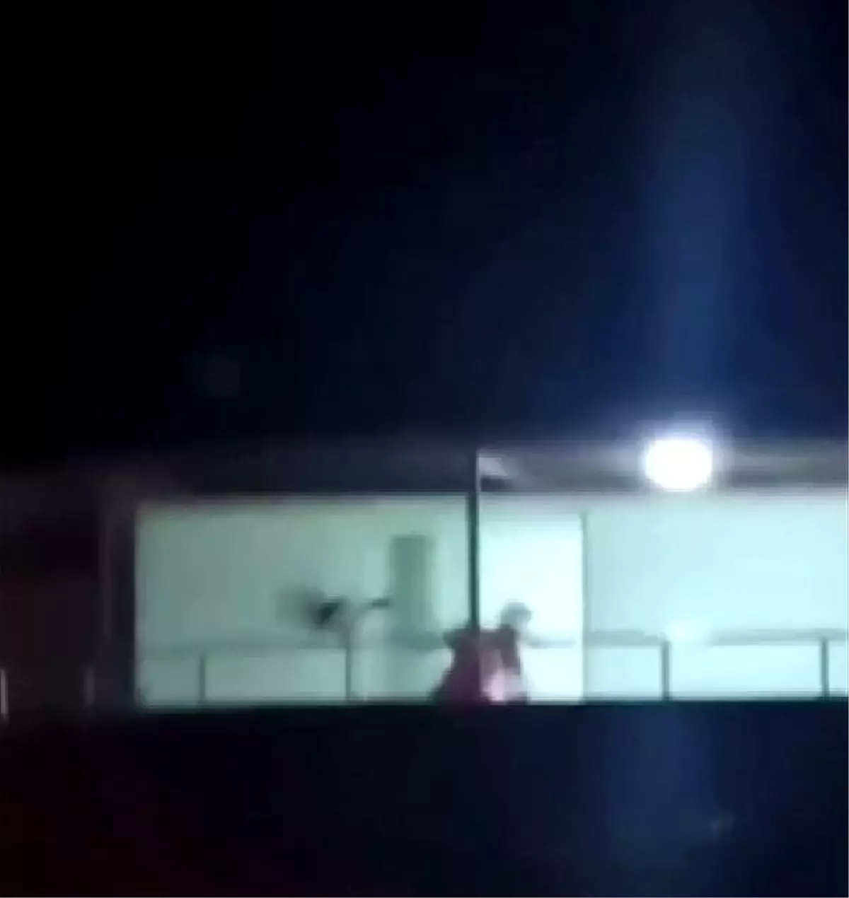 Köpeğini Döven Kişiye İdari Para Cezası