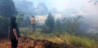 Kütahya'da Orman Yangını Kontrol Altına Alındı