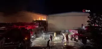 Tekstil fabrikasının pamuk deposu yandı