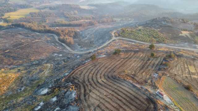 Yeşil griye döndü! Çanakkale'de günler sonra söndürülen yangından geriye kahreden bu görüntüler kaldı Yeşil griye döndü! Çanakkale'de günler sonra söndürülen yangından geriye kahreden bu görüntüler kaldı