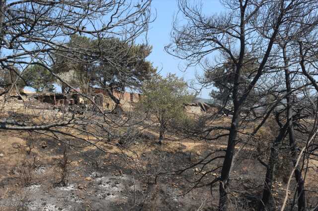 Yeşil griye döndü! Çanakkale'de günler sonra söndürülen yangından geriye kahreden bu görüntüler kaldı Yeşil griye döndü! Çanakkale'de günler sonra söndürülen yangından geriye kahreden bu görüntüler kaldı