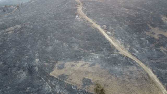 Yeşil griye döndü! Çanakkale'de günler sonra söndürülen yangından geriye kahreden bu görüntüler kaldı Yeşil griye döndü! Çanakkale'de günler sonra söndürülen yangından geriye kahreden bu görüntüler kaldı