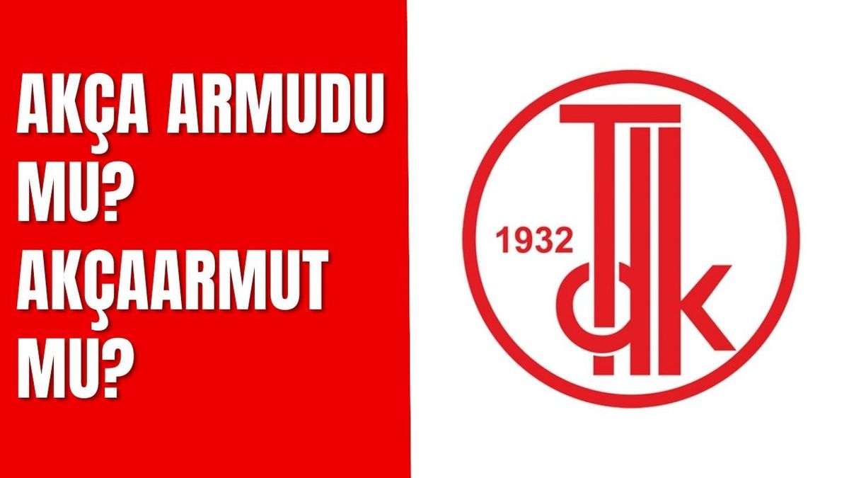 Akça armudu mu? Akçaarmut mu? TDK'ye göre Akça armudu nasıl yazılır?