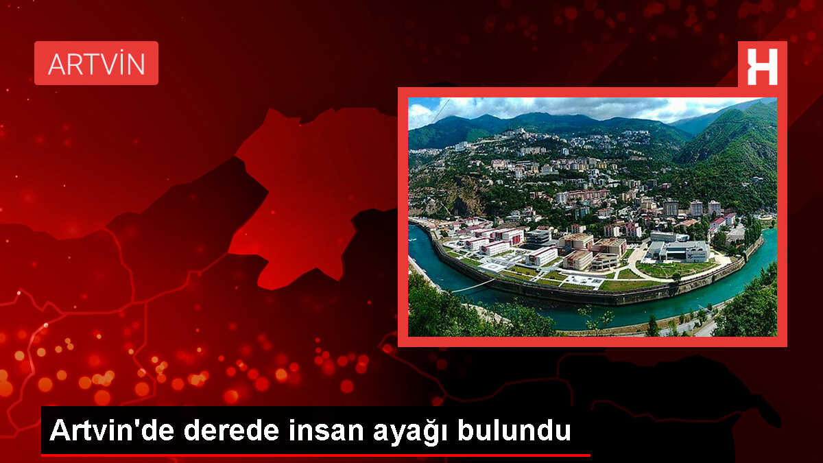 Artvin Borçka'da Dere Kenarında İnsan Ayağı Bulundu