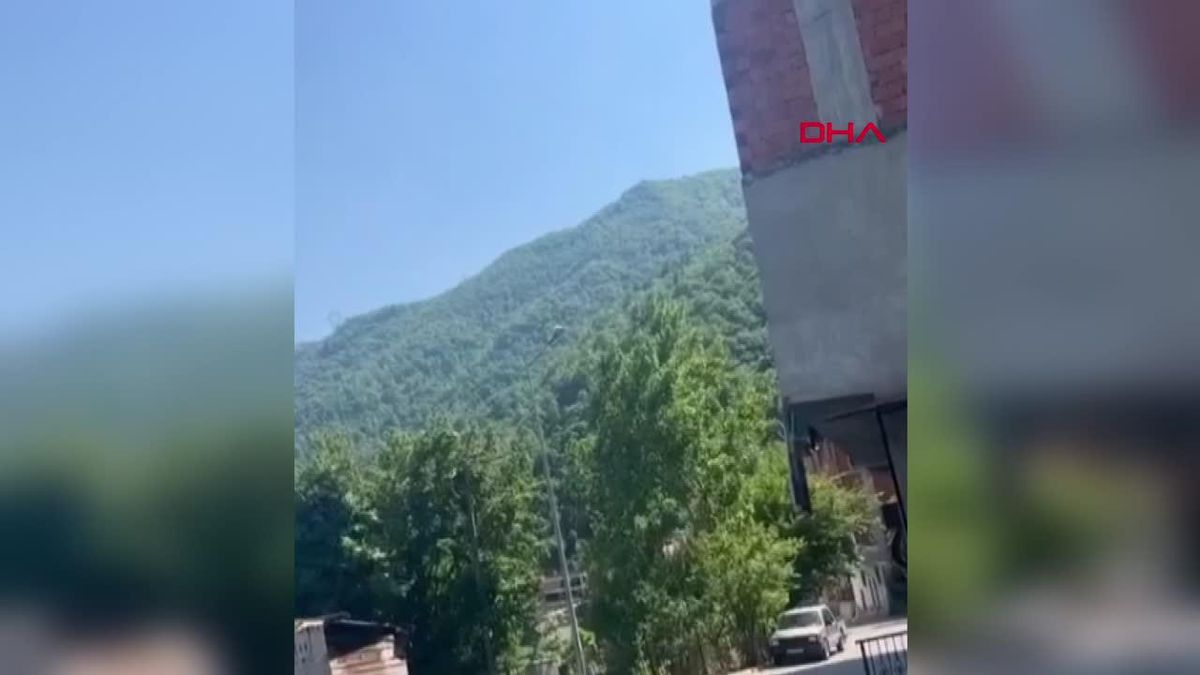 Artvin'de Dere Kenarında İnsana Ait Kopmuş Ayak Bulundu