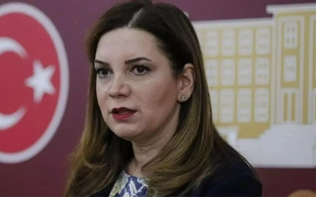 Arzu Erdem kimdir? Kaç yaşında, nereli, mesleği ne, hangi partili? Arzu Erdem'in hayatı ve biyografisi!