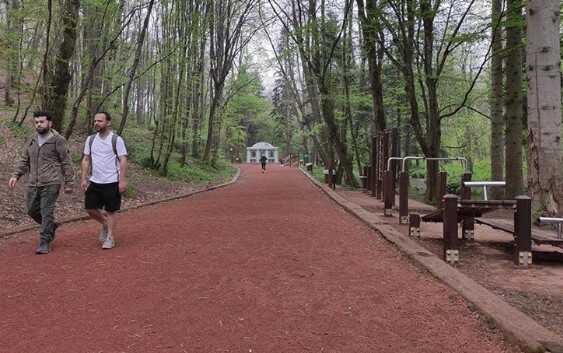 Belgrad Ormanı'na nasıl gidilir? Belgrad Ormanı'na arabasız nasıl gidilir? Belgrad Ormanı'na nerede, hangi semtte?