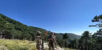 Bursa Emniyet Müdürlüğü Özel Harekat Şube Müdürlüğü Uludağ'da Orman Yangınlarıyla Mücadele Ediyor