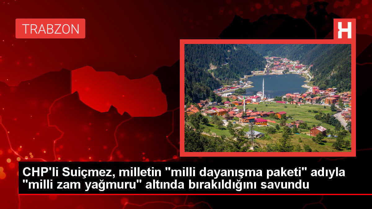 CHP Milletvekili Sibel Suiçmez, Vergi Artışlarını Eleştirdi