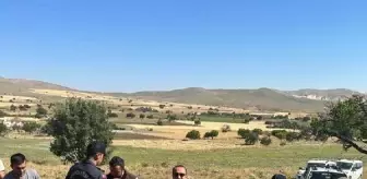 Eskişehir'de 600 Keklik Doğaya Bırakıldı