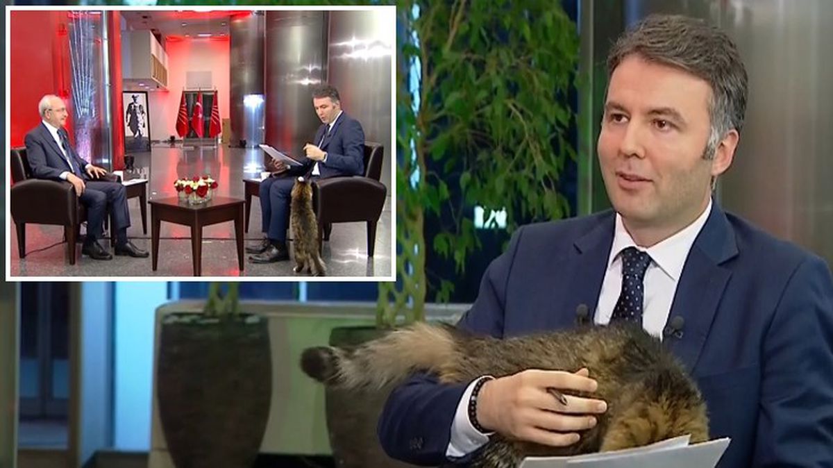 Mehmet Akif Ersoy'un en zor yayını! CHP'nin kedisi gelip kucağına oturdu