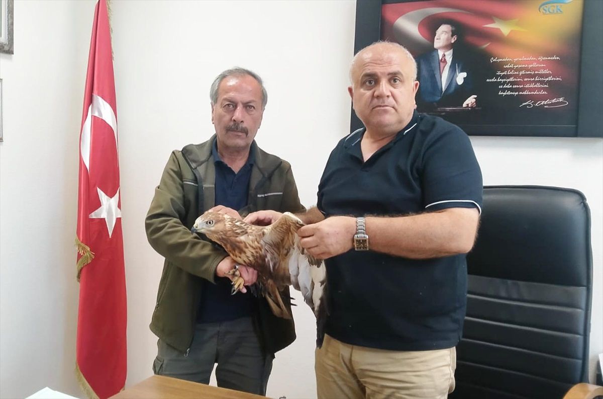 Yaralı Şahin Sosyal Güvenlik Merkezi Müdürü Tarafından Teslim Edildi