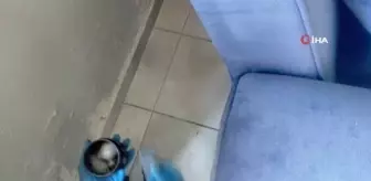 30 adrese eş zamanlı torbacı operasyonu: 41 gözaltı
