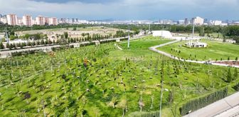 Ankara'da Doğal Yaşam ve Atatürk Çocukları Parkı'nın ilk etabı yakında açılıyor