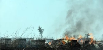 Edirne'de yangında saman balyaları ve arı kovanları yandı