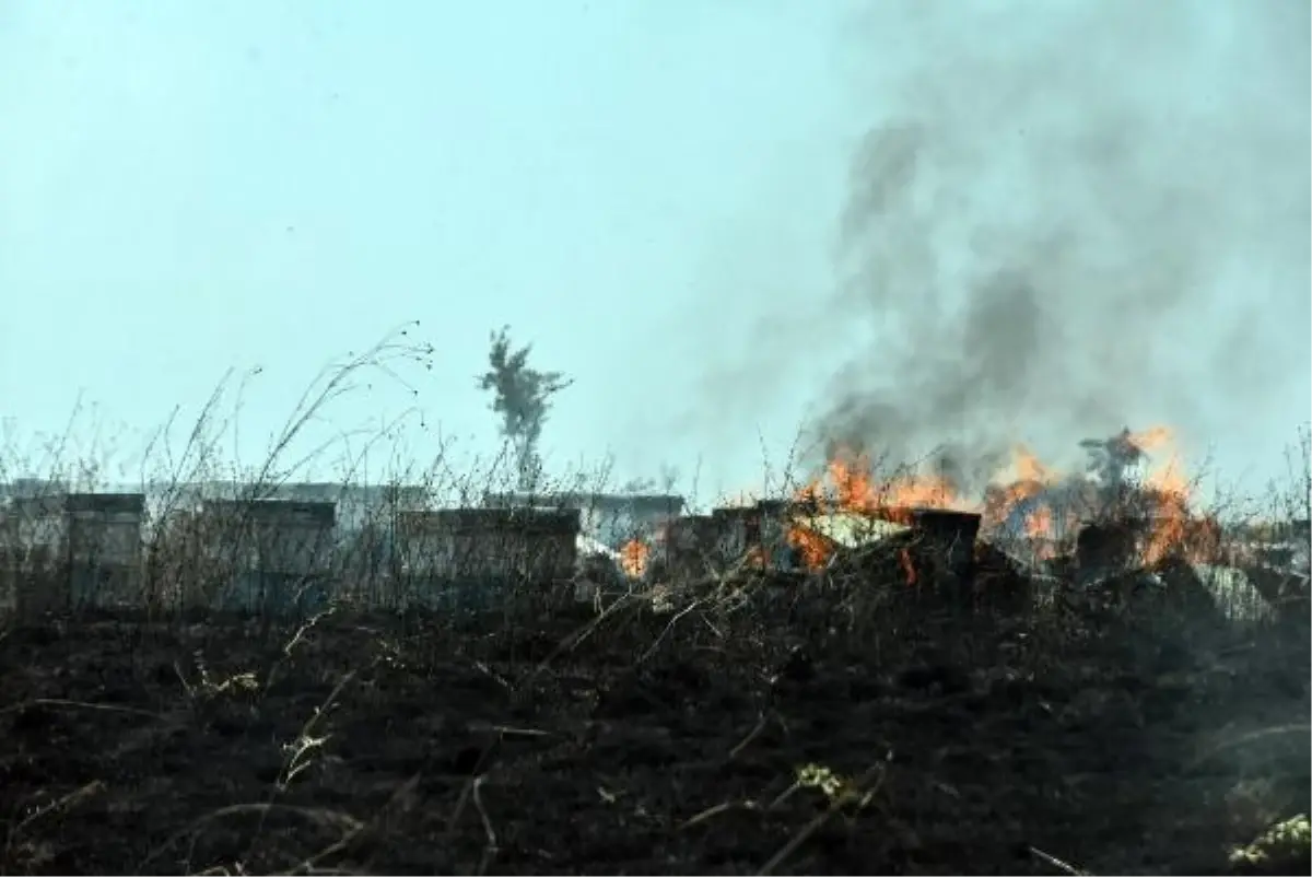 Edirne'de yangında saman balyaları ve arı kovanları yandı