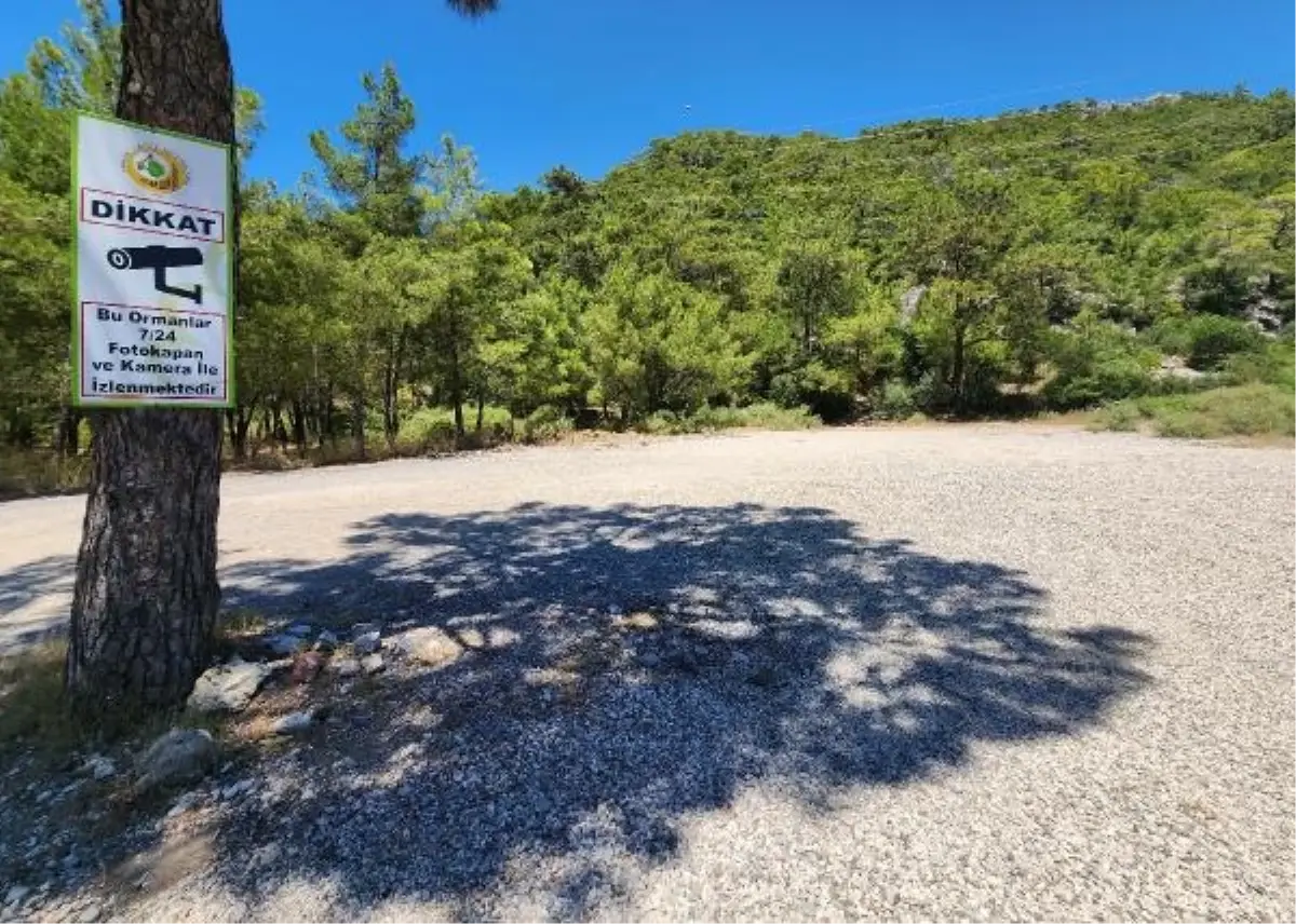 Antalya'da Orman Yangını Tehlikesi: Yasaklara Rağmen Piknik Yapanlar Çevreyi Kirletiyor