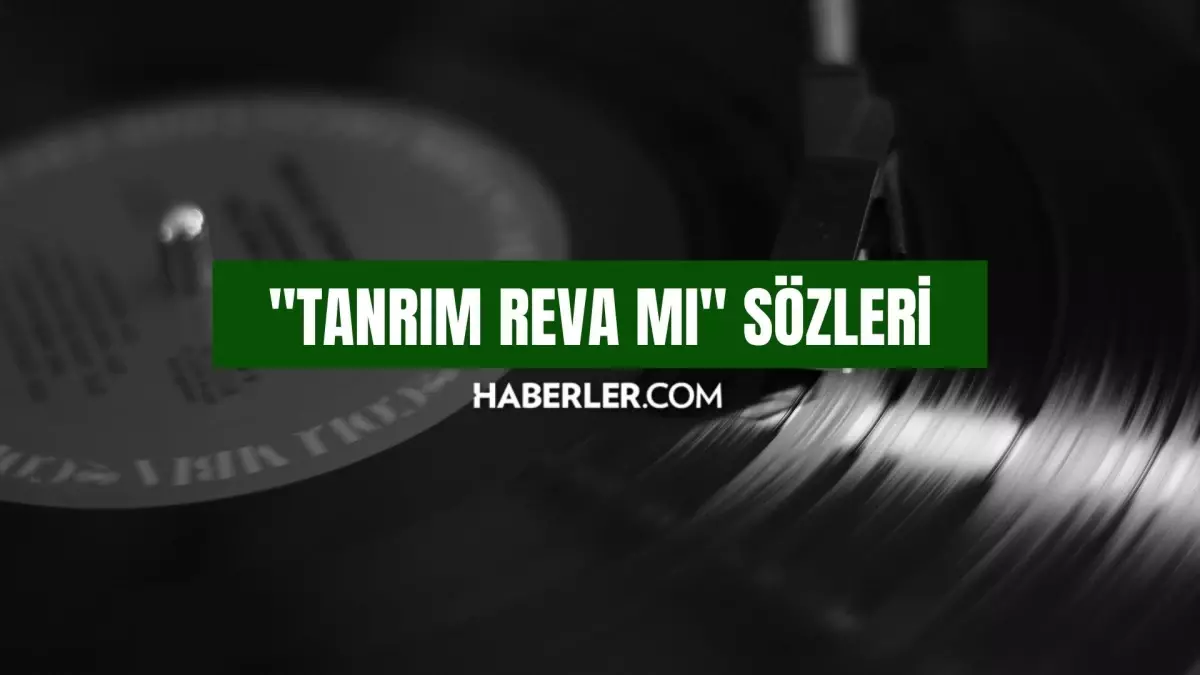 Tanrım Reva Mı sözleri! Tanrım Reva Mı - Semicenk şarkı sözleri! Tanrım Reva Mı - Semicenk şarkı hakkında bilgiler