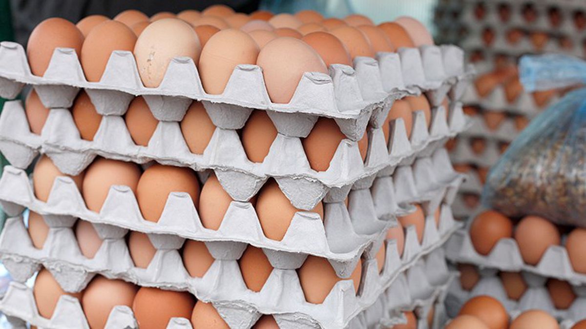 Tayvan'a ihraç edilen Türk yumurtalarında kanserojen madde mi var? Bakanlık konuyla ilgili inceleme başlattı