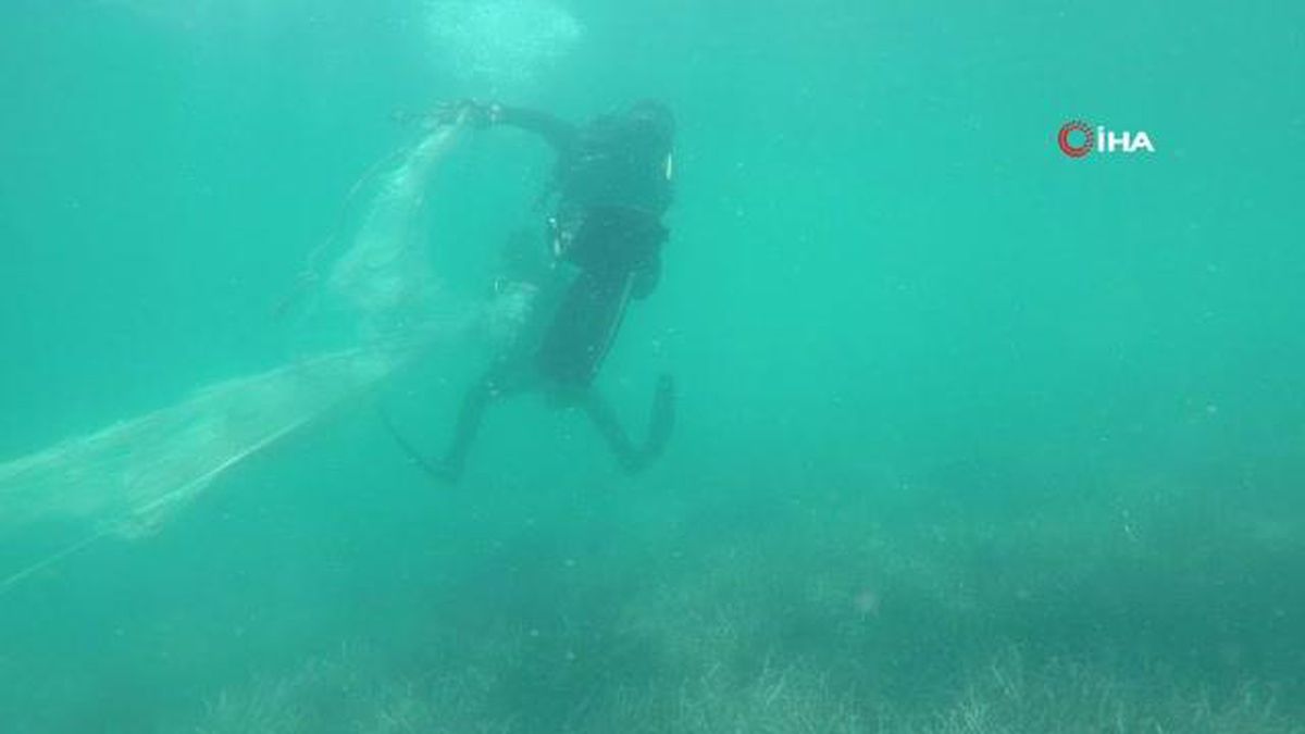 Bodrum'da hayalet ağ temizliği yapıldı