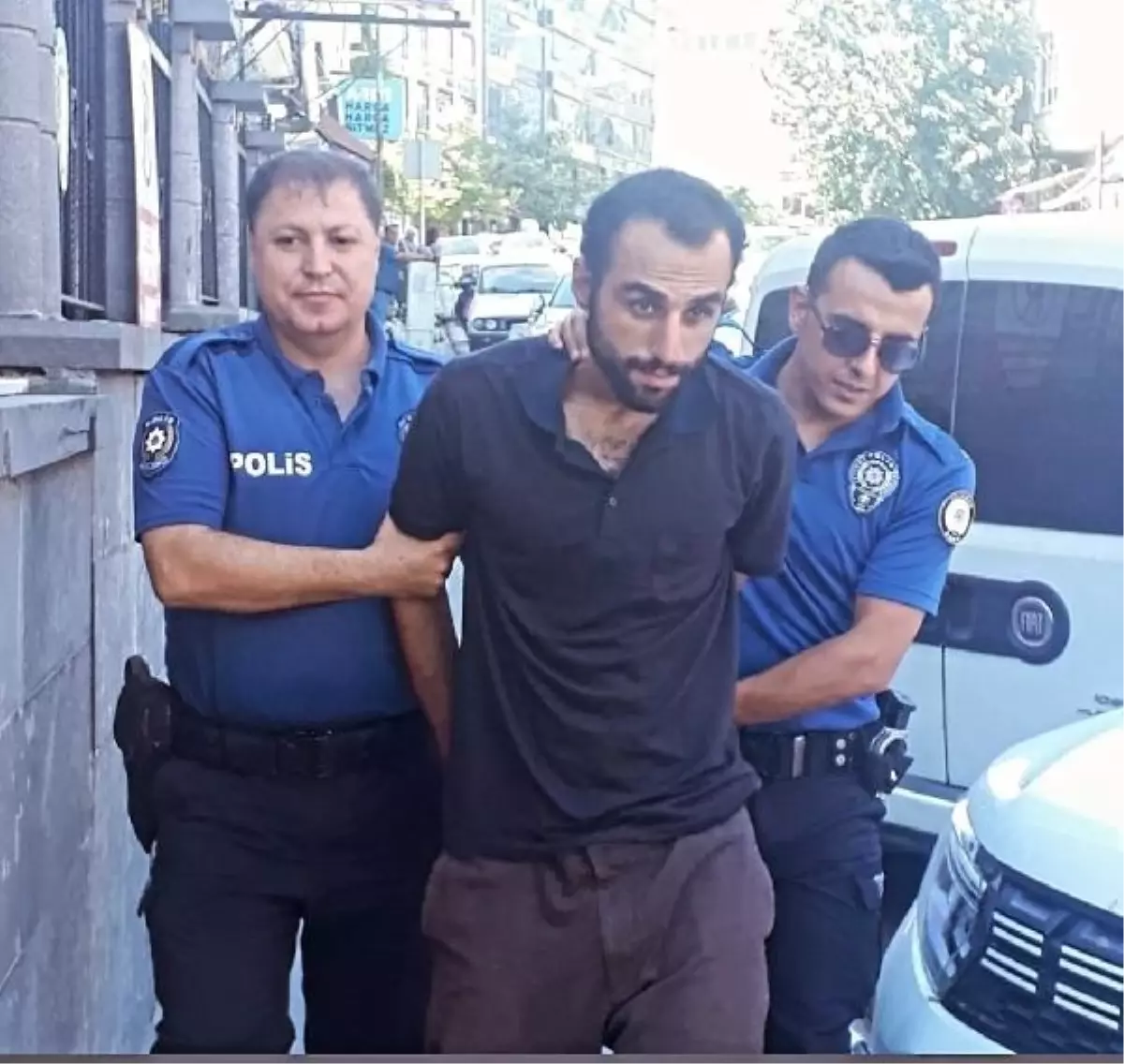 Adıyaman'da Annenin ve Kardeşin Dövülmesi ve Kedilerin Öldürülmesi Olayı