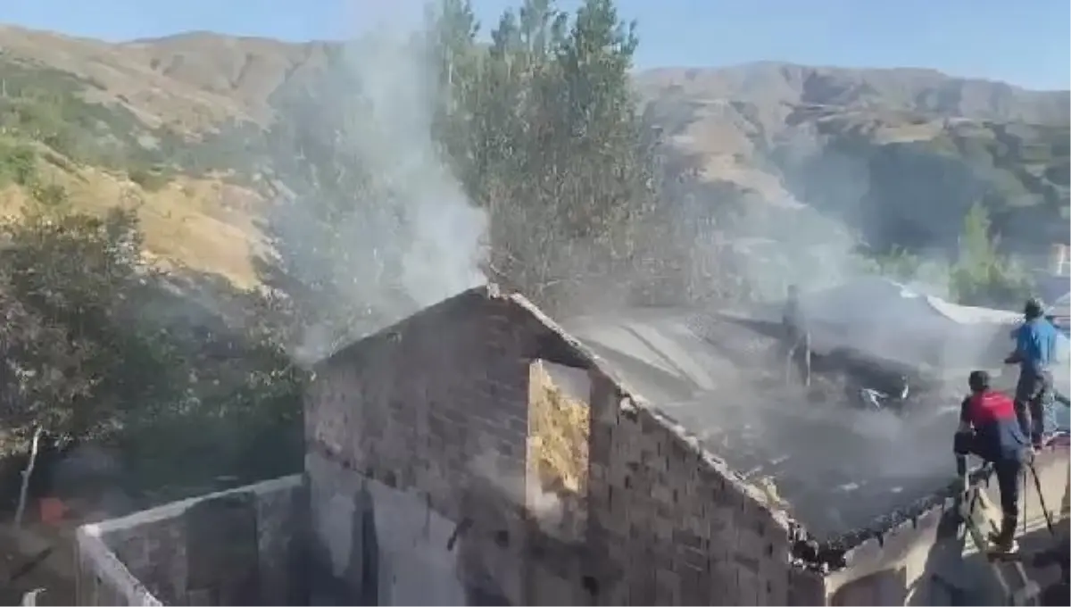 Bingöl'de ahır yangınında 2 inek öldü