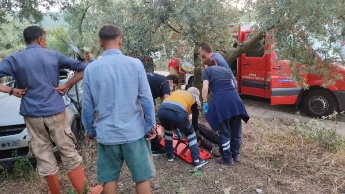 Bursa'da Zeytinliğe Savrulan Otomobil Kazası: 1 Ölü, 1 Yaralı