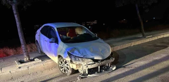 Elazığ'da otomobil ağaca çarptı, 1 kişi yaralandı