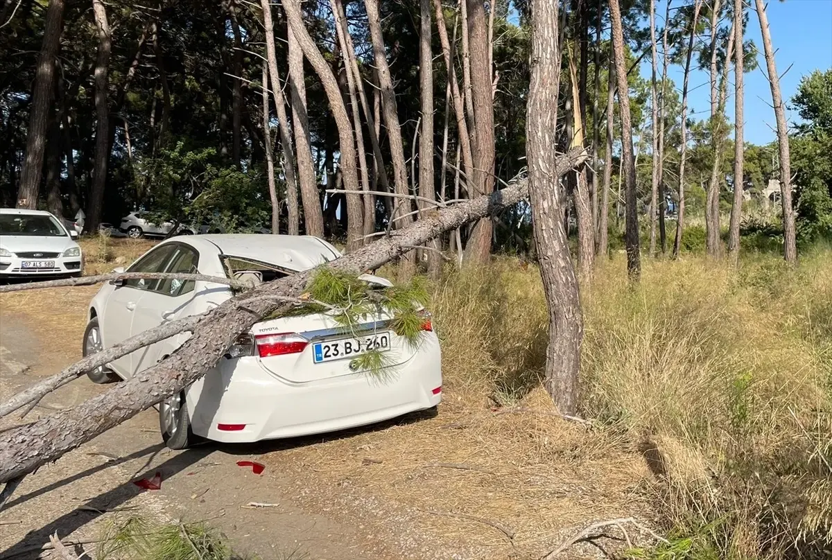 Phaselis Antik Kenti'nde ağaç devrilen otomobilde hasar oluştu