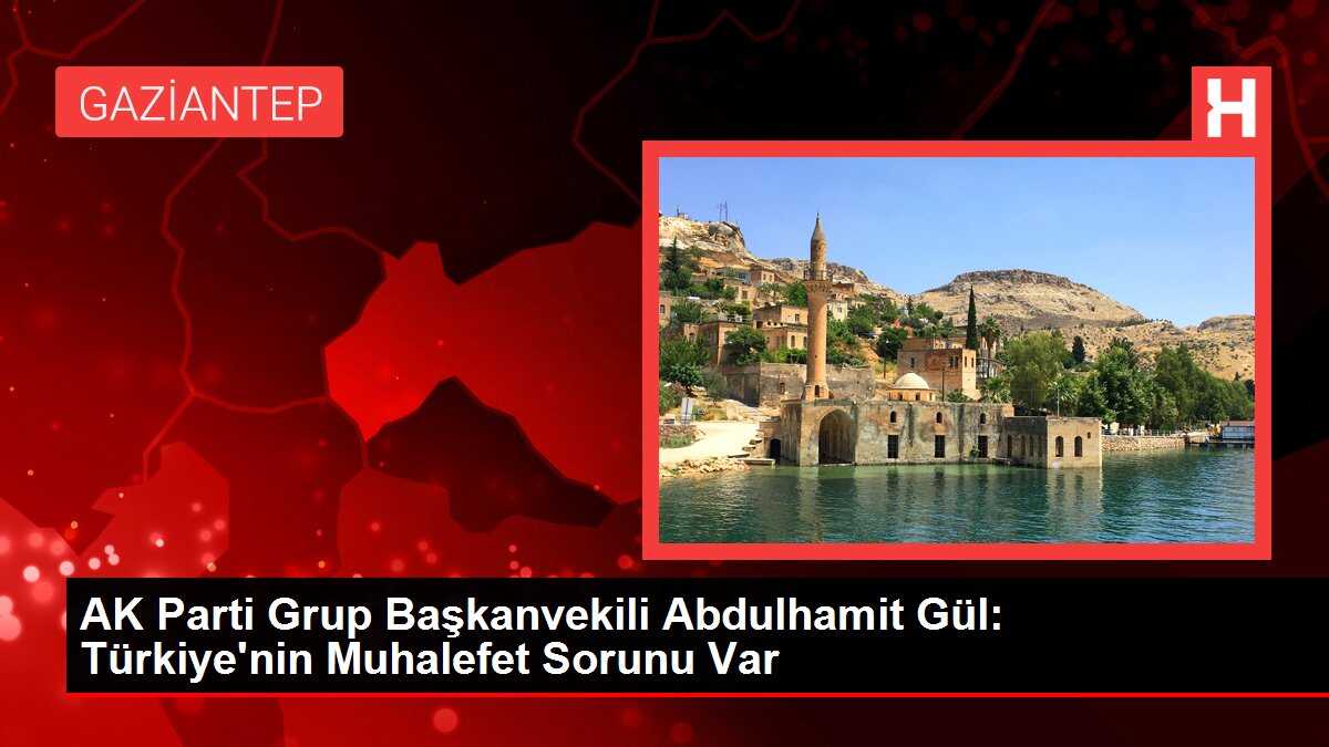 AK Parti Grup Başkanvekili Abdulhamit Gül: Türkiye'nin Muhalefet Sorunu Var