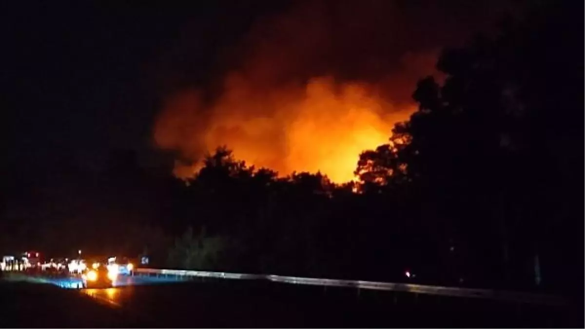 Kemer'de Orman Yangını Çıktı