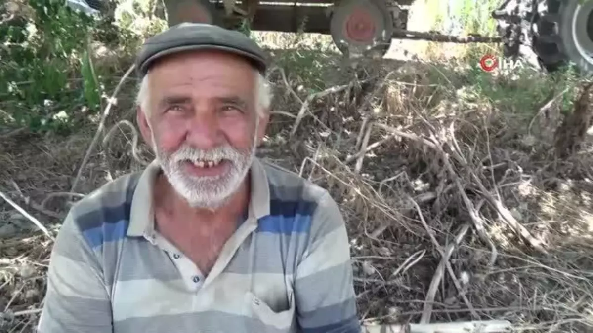 Aydın Ovası'nda çiftçilerin 44 derece sıcakta ekmek mücadelesi