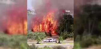 Çalılık alanda çıkan yangın arı dolu kovanları küle çevirdi