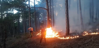 Denizli'nin Tavas ilçesinde çıkan orman yangını kontrol altına alındı