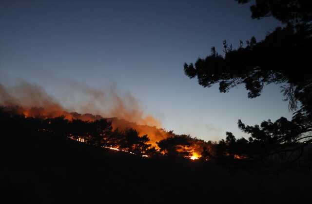 Kahramanmaraş'ta orman yanına müdahaleler sürüyor