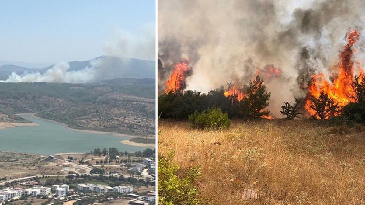 2 günde ikinci yangın! Milas'ta alevler kontrol altına alındı
