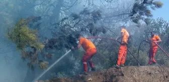 Sakarya'nın Taraklı ilçesinde orman yangını