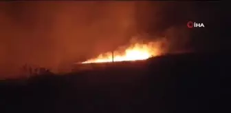 Uzunköprü'de Ormanlık alanda korkutan yangın