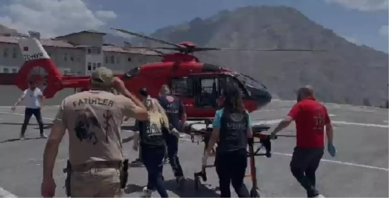 Hakkari'de çiftçi yılan tarafından ısırıldı
