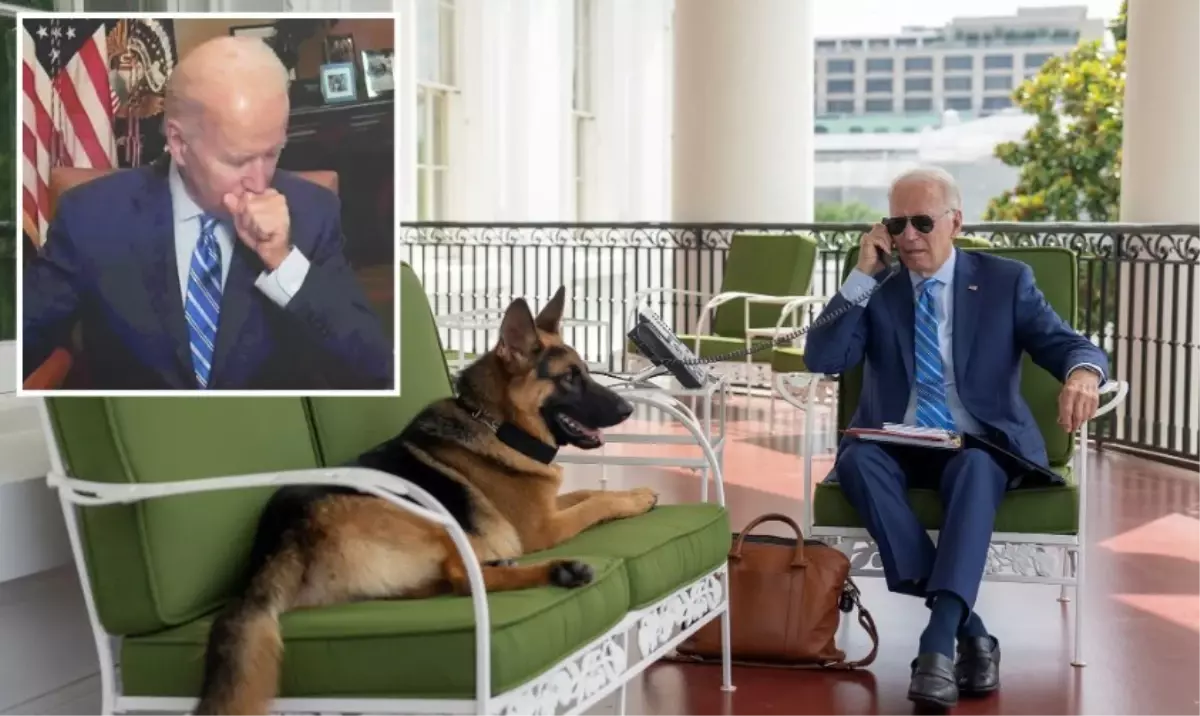 ABD Başkanı Biden'ın köpeği Commander, bir gizli servis elemanın hastanelik etti, altı kişiyi daha ısırdı