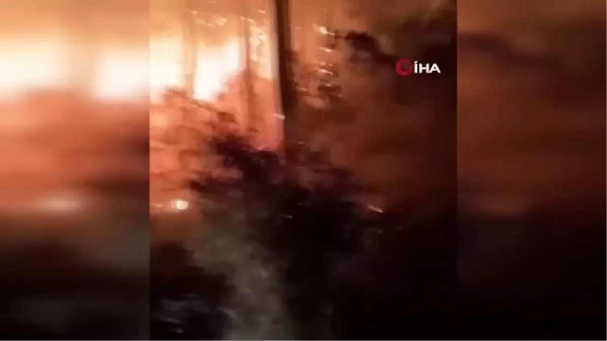 Antalya'da orman yangını