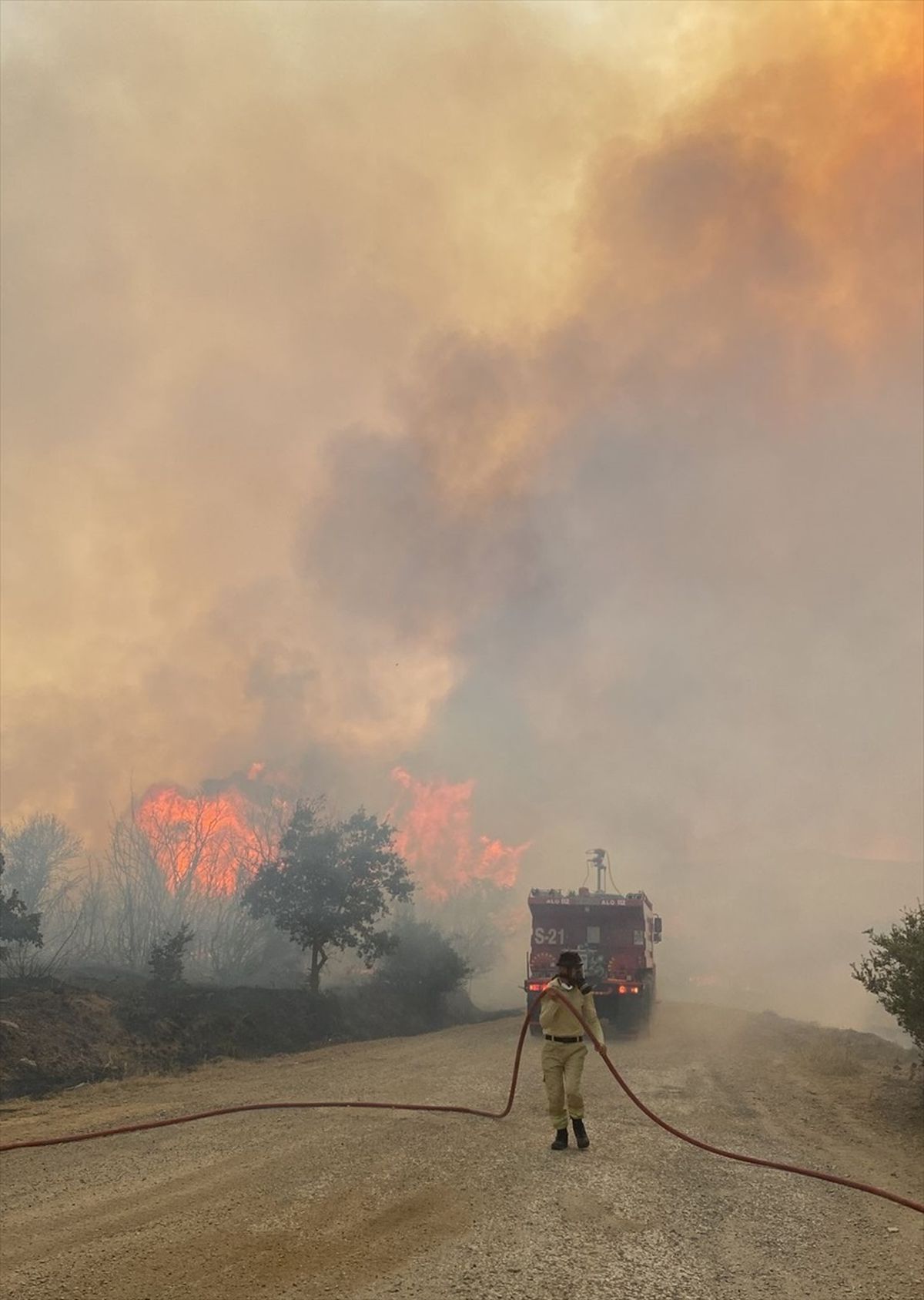Çanakkale Biga'da çıkan orman yangını kontrol altına alındı