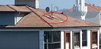 Görüntü Türkiye'den! Çatıda çıplak güneşlenen erkek, polis sirenini duyunca kaçtı