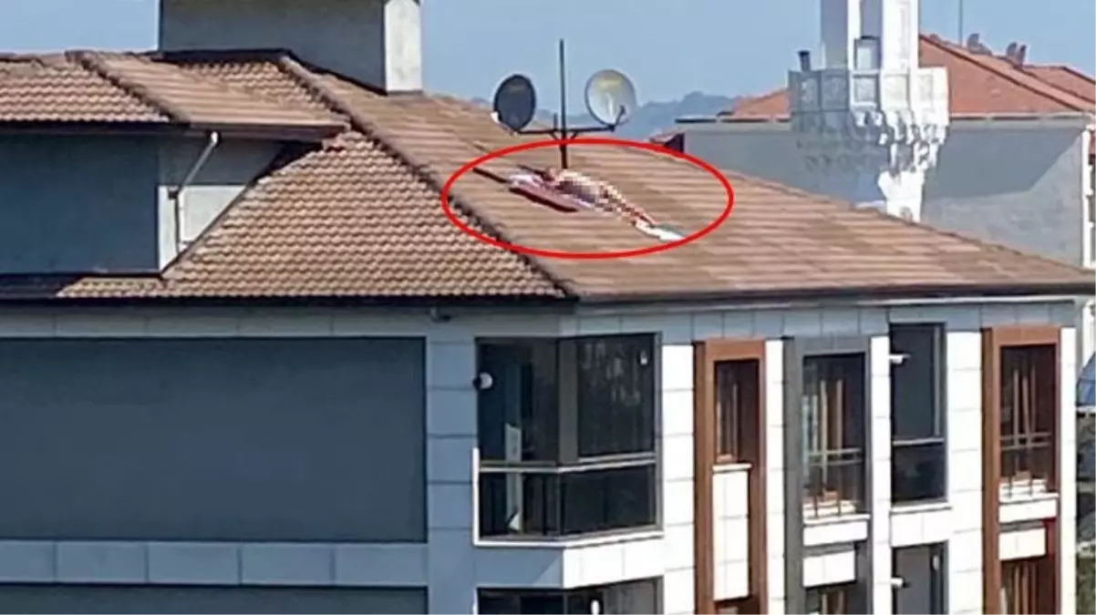 Görüntü Türkiyeden! Çatıda çıplak güneşlenen erkek, polis sirenini duyunca  kaçtı - Haberler