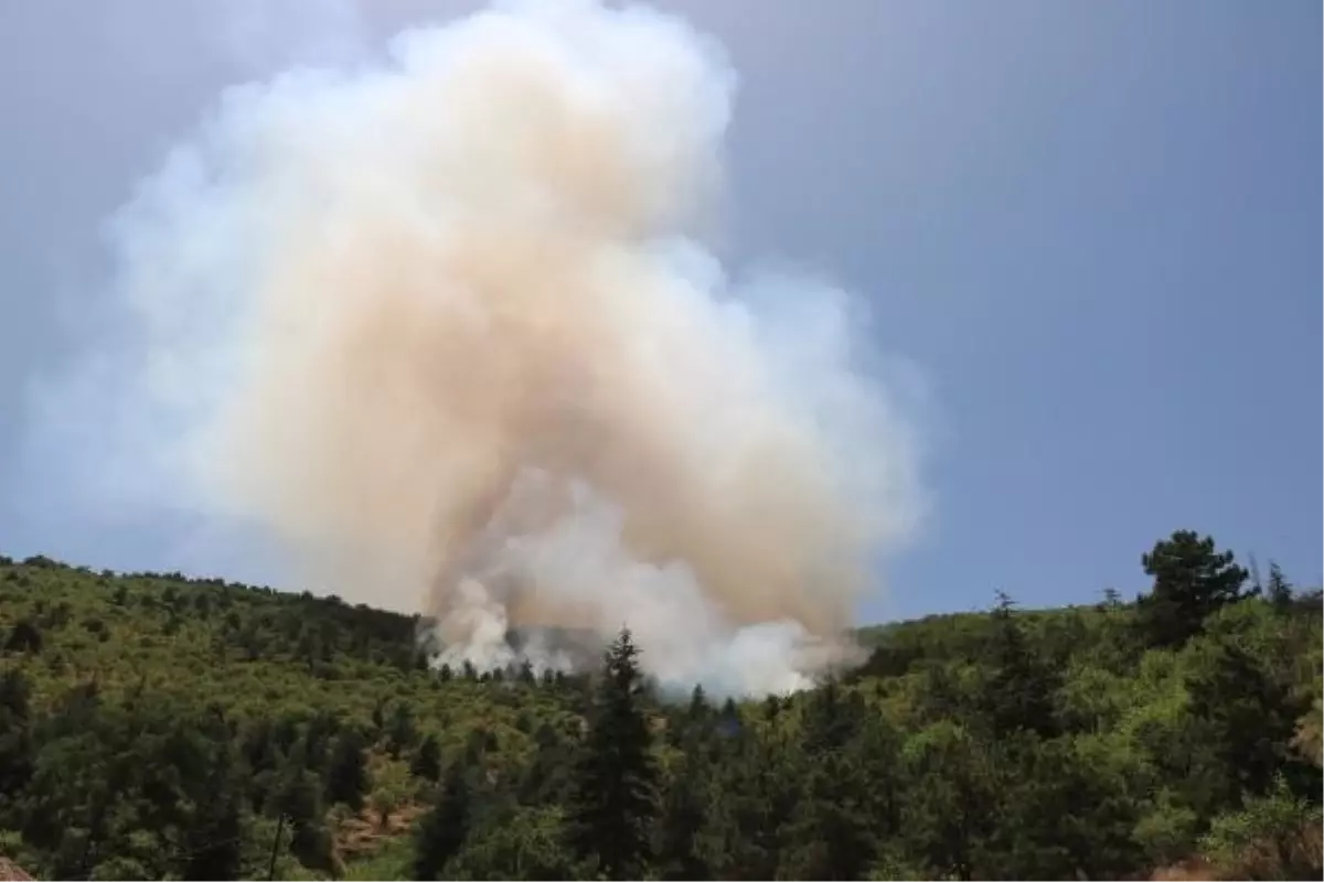 Afyonkarahisar'da Ormanda Çıkan Yangın Kontrol Altına Alındı